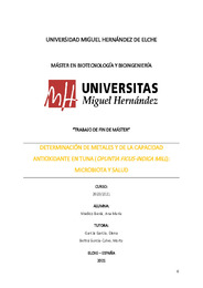 205 MEDICO BEVIA, ANA MARIA-Memoria TFM.pdf.jpg