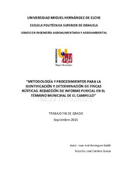 TFG Berenguer Baldó, Juan José.pdf.jpg