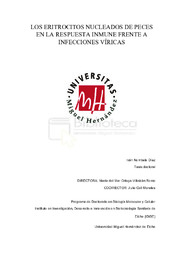 Tesis_Iván Nombela Díaz.pdf.jpg
