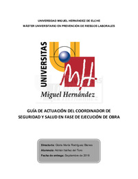 IBAÑEZ DEL TORO, ADRIAN TFM.pdf.jpg