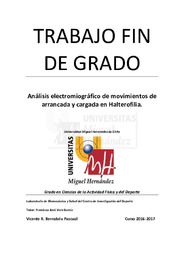 TFG Bernabeu Pascual, Vicente Raúl.pdf.jpg
