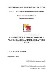 TFM Almarcha Agulló, Rafael.pdf.jpg