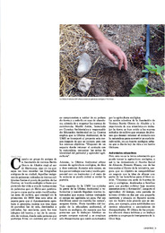 Agricultura y ciencia_Borja G. Moya.pdf.jpg