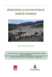 TFG - Carrasco Grao, Irene.pdf.jpg