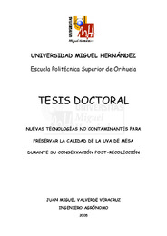 Tesis JM Valverde.pdf.jpg