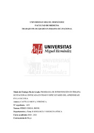 TFG VERÓNICA CASTILLO MOYA.pdf.jpg