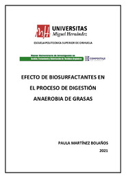TFM Martinez Bolanos, Paula.pdf.jpg