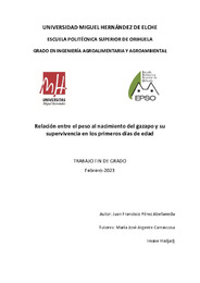 TFG Perez Abellaneda, Juan Francisco.pdf.jpg