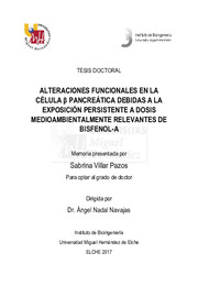 Tesis Doctoral Villar Pazos, Sabrina.pdf.jpg
