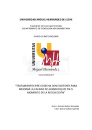 TFG Quiles_Bernabeu_Ramón.pdf.jpg