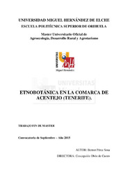 TFM Pérez Sosa, Bentor.pdf.jpg