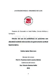 TD. Diaz Lara, Carlos Javier.pdf.jpg