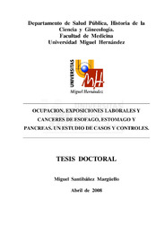tesis_Miguel Santibáñez.pdf.jpg
