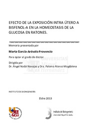 TD Marta Garcia-Arevalo.pdf.jpg
