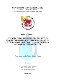 TD García Conca, Victor.pdf.jpg