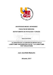 TD Mafé Madueño, Juan José.pdf.jpg