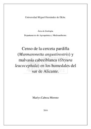 Cabeza Moreno, Marlys Katiuska.pdf.jpg