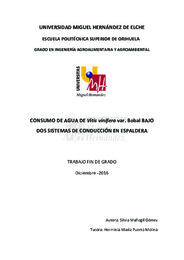 TFG Mañogil Gómez, Silvia.pdf.jpg