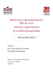 TFM - ATENEA ALEXANDRA PEREZ SERNA.pdf.jpg