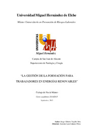 TFM Trujillo Orta, Jorge A.pdf.jpg