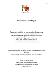 TFG Ferriz Mejías, Alvaro Javier .pdf.jpg