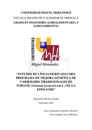 TFG Gonzálvez Moreno, Constantino.pdf.jpg
