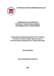 Tesis Doctoral Julio Idrovo.pdf.jpg