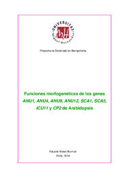 TESIS EDUARDO MATEO BONMATÍ.pdf.jpg