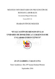 Calle Luna, Juan Gabriel TFM.pdf.jpg