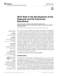 Wnt1 Role in the Development of the Habenula and the Fasciculus Retroflexus.pdf.jpg