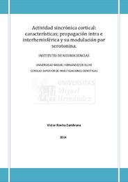 Tesis+Víctor+Rovira+Zambrana.pdf.jpg