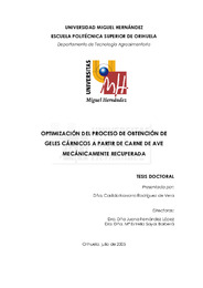 Tesis Navarro Rodriguez de Vera.pdf.jpg