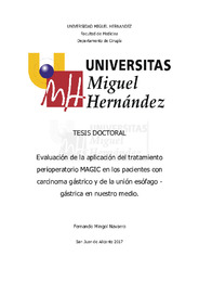 TD Mingol Navarro, Fernando.pdf.jpg