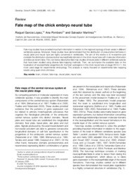 Fate map of the chick embryo neural tube.pdf.jpg