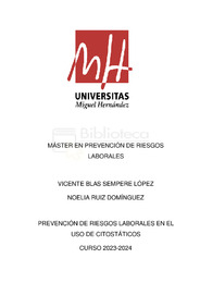 RUIZ_DOMINGUEZ_NOELIA_TFM.pdf.jpg