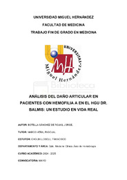 BOTELLA SÁNCHEZ DE ROJAS, JORGE, TFG.pdf.jpg