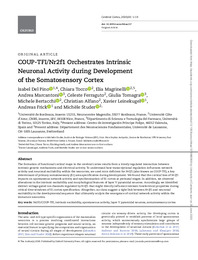 COUP-TFINr2f1 Orchestrates Intrinsic.pdf.jpg