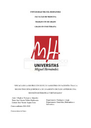 TFG VILAPLANA TORREGROSA ALEJANDRO .pdf.jpg