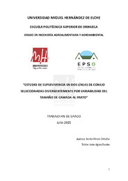 TFG Perez Ortuno, Berta.pdf.jpg