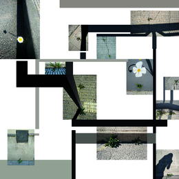 RESILIENCIA 1.jpg.jpg