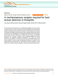 A mechanosensory receptor required for food texture detection in Drosophila.pdf.jpg