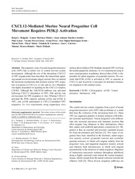 CXCL12-Mediated Murine Neural Progenitor Cell Movement Requires PI3Kβ Activation.pdf.jpg