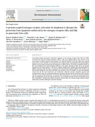 G protein-coupled estrogen receptor activation....pdf.jpg