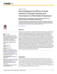 Running Opposes the Effects of Social Isolation on Synaptic Plasticity and Transmission in a Rat Model of Depression.pdf.jpg