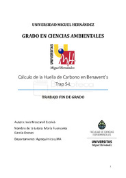 TFG_Mascarell Escrivà, Inés.pdf.jpg