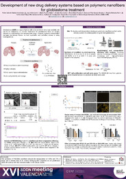 17. Poster. SDDN 2024. Development of new drug delivery systems based on polymeric nanofibers for glioblastoma treatment.pdf.jpg