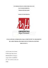 TFG IBAÑEZ CALVO, MANUEL.pdf.jpg