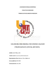 JUAN PIÑOL, LUCÍA, TFG.pdf.jpg