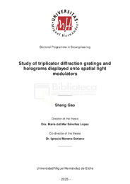 TESIS SF Gao_Shang.pdf.jpg