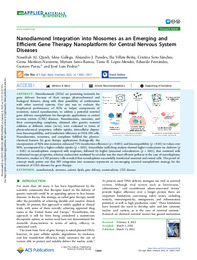 Nanodiamond Integration into Niosomes as an Emerging and Efficient Gene Therapy Nanoplatform.pdf.jpg